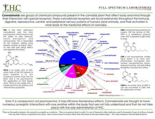 THC & CBD infographic